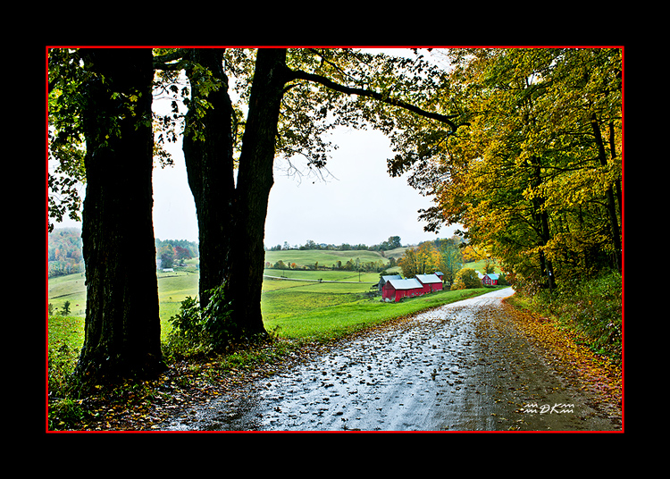 DSC_6139C.jpg