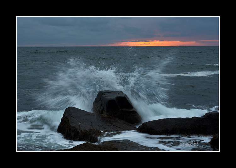 DSC_1553C1.jpg