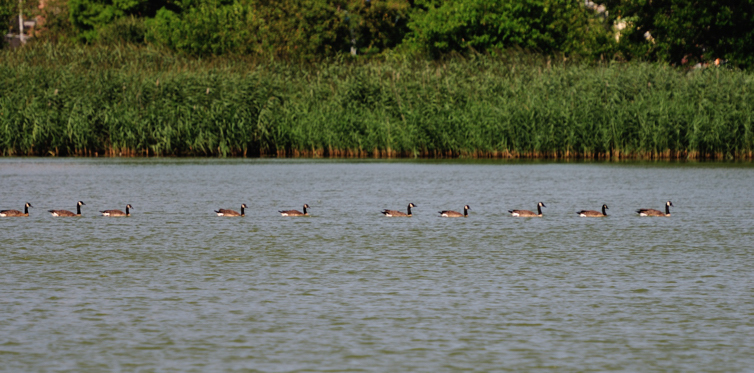 DSC_8028.jpg