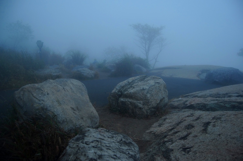 DSC_0053.JPG