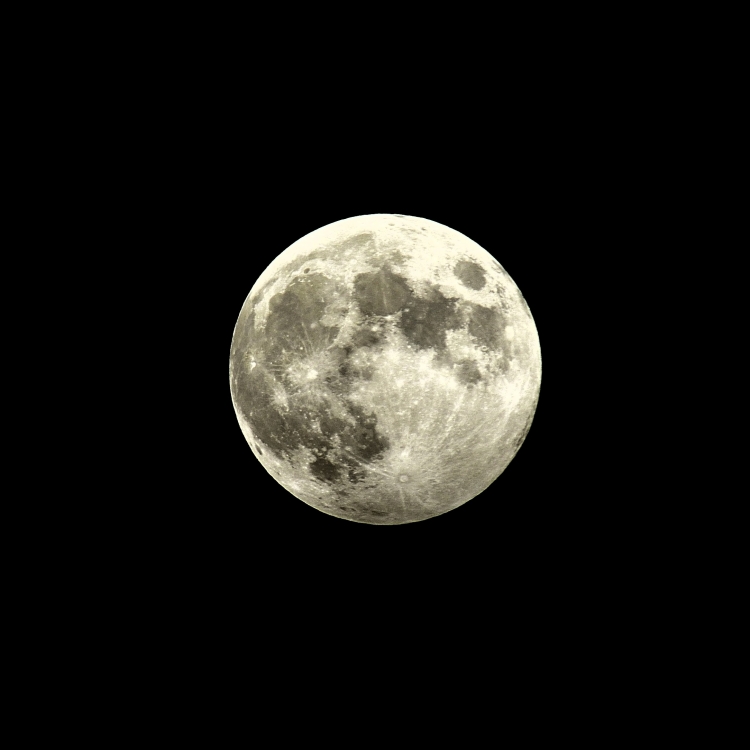 _DSC5955_01.JPG