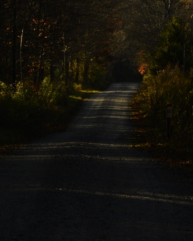 _DSC6267_01.JPG