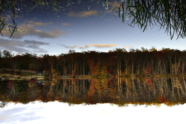 _DSC6207_01.JPG