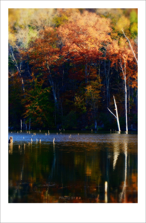 DSC_3304ff.jpg