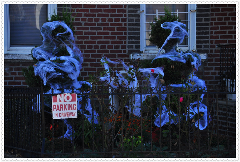 DSC_0881.jpg