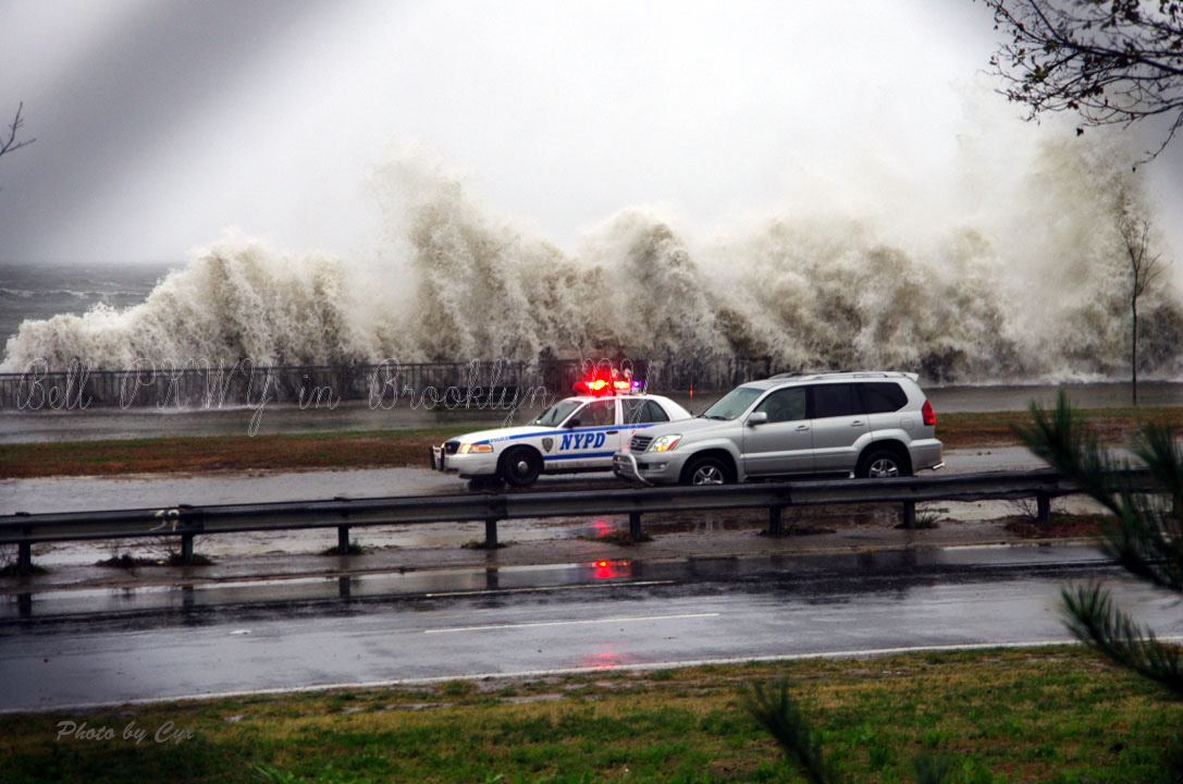 SandyCars_ps.jpg