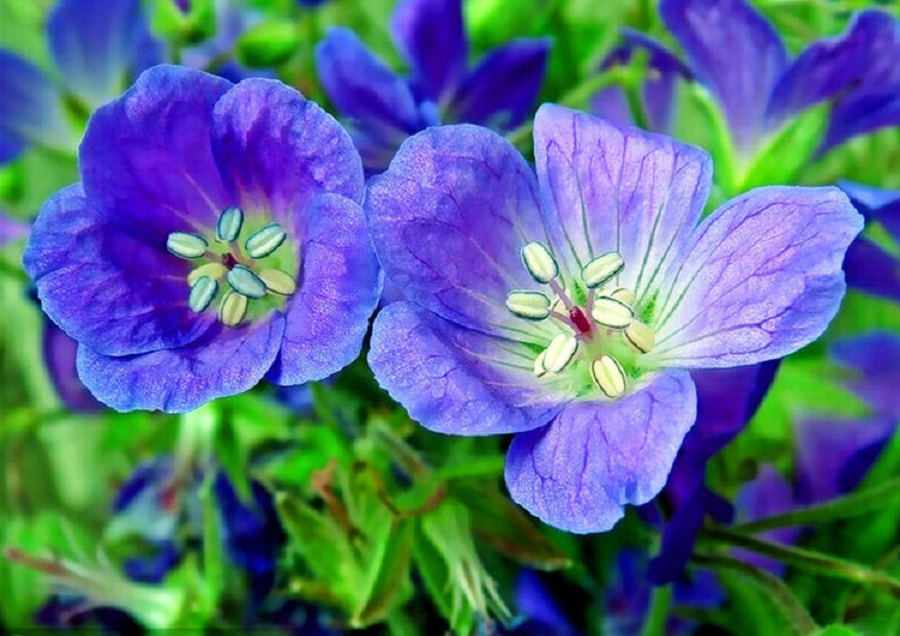 36137631_12.jpg