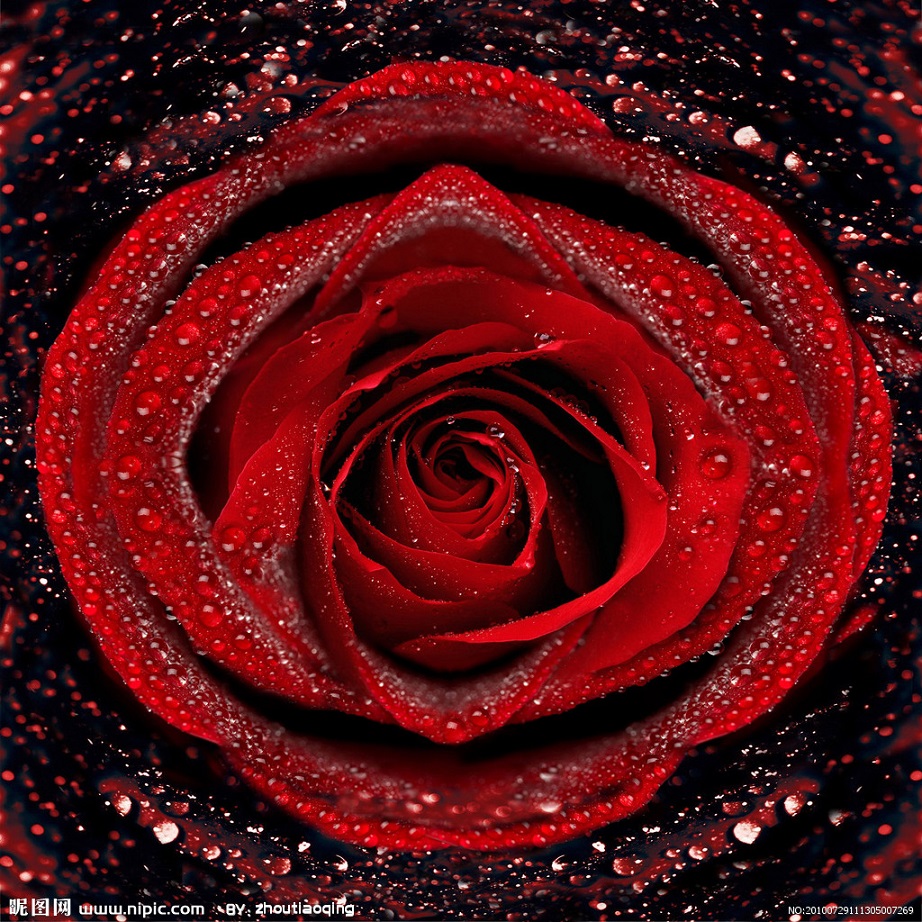 3320946_111305007269_2.jpg