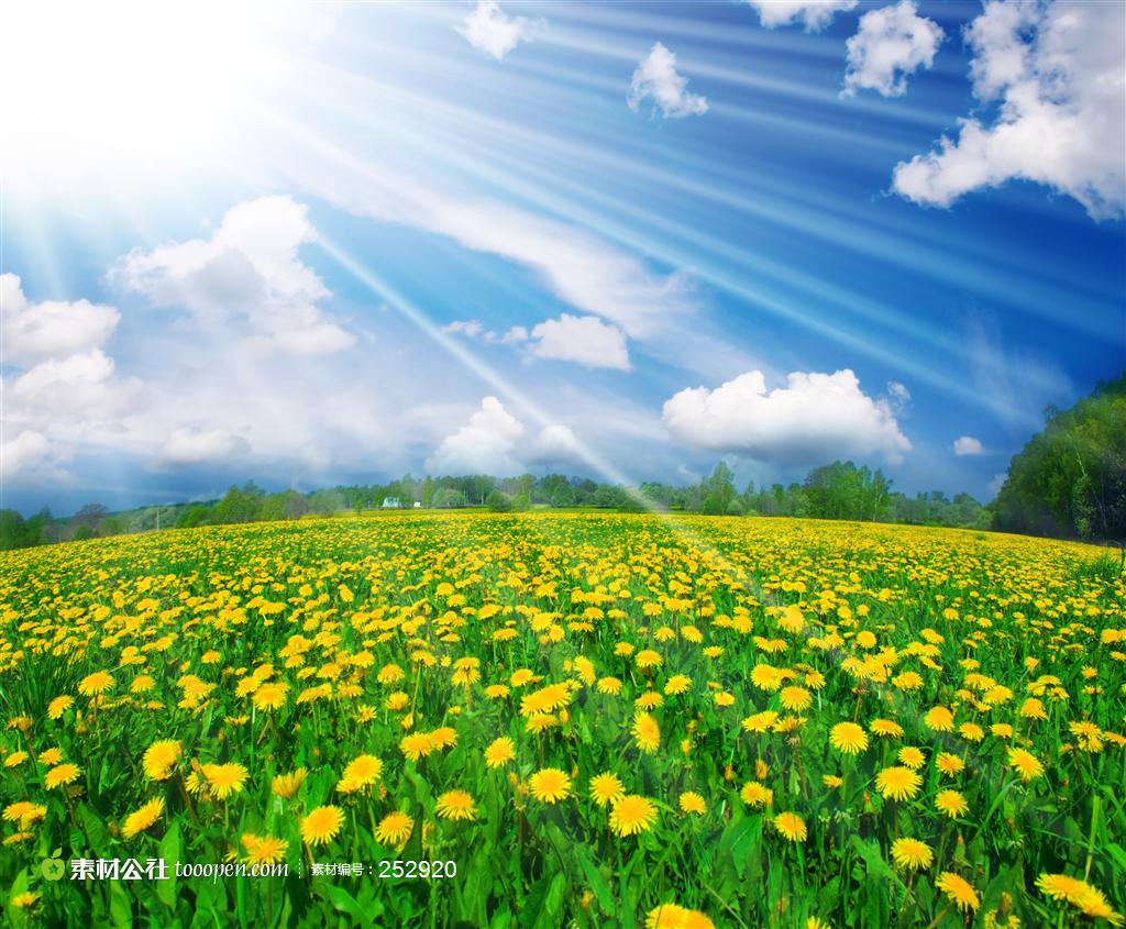 sy_201208141212354710.jpg
