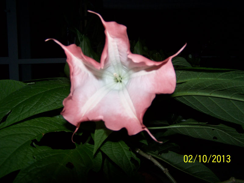 415.jpg