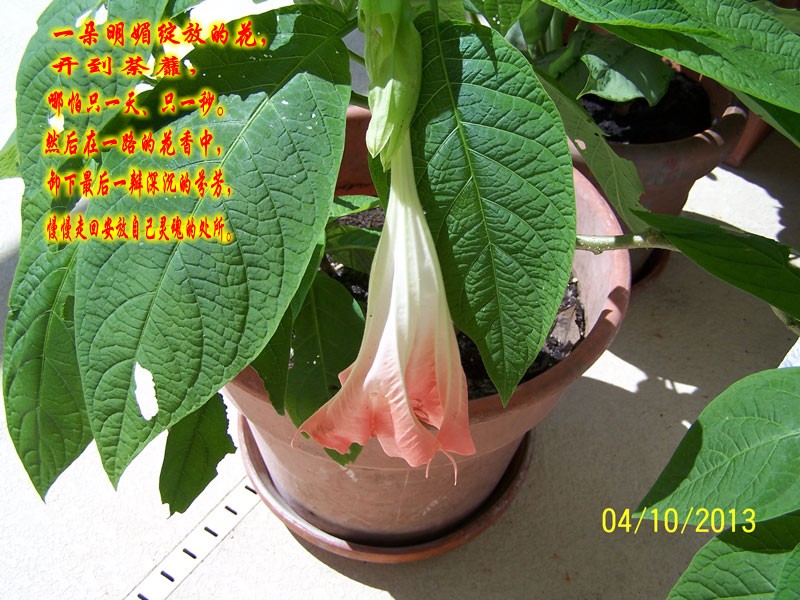 47_31981_829654d5c302072_conew1.jpg