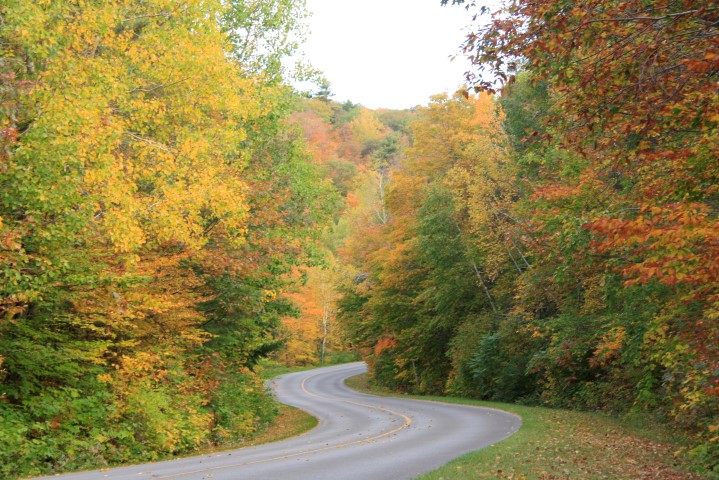 _MG_1523 (Small).JPG