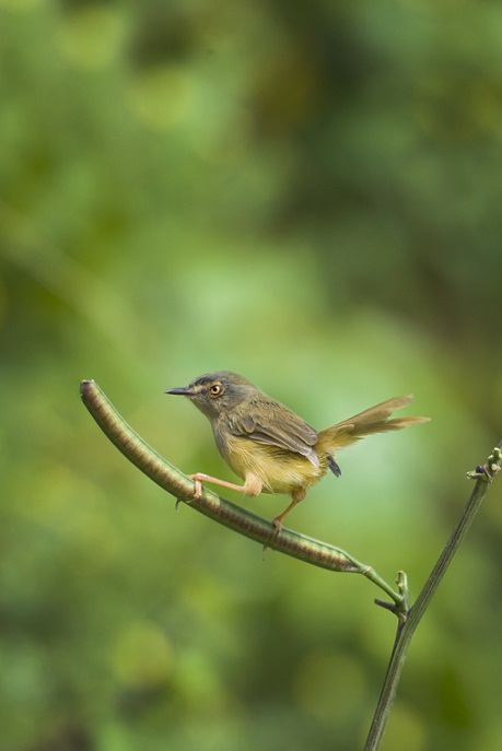 DSC_8844.jpg