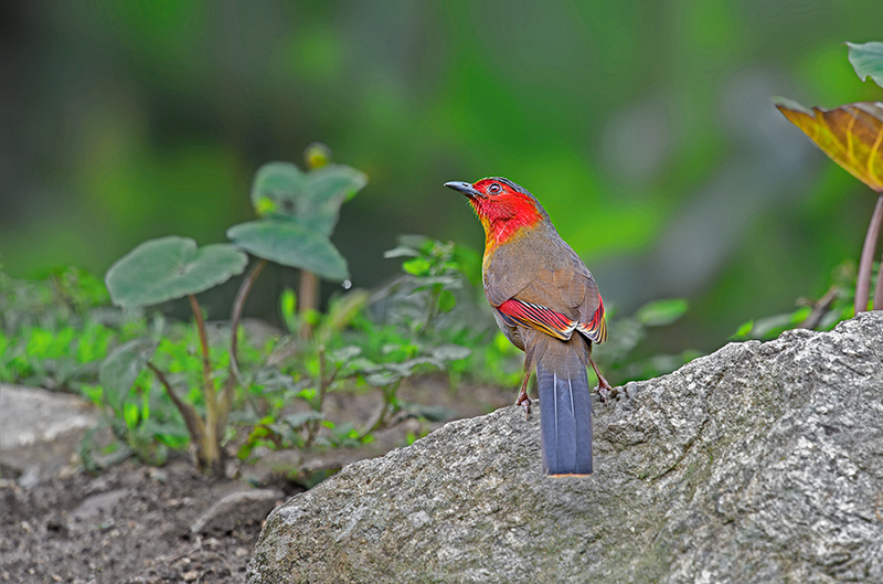 DSC_5400-.jpg