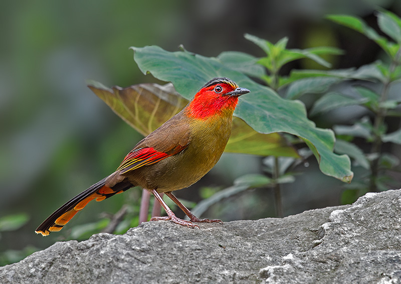 DSC_5415-.jpg