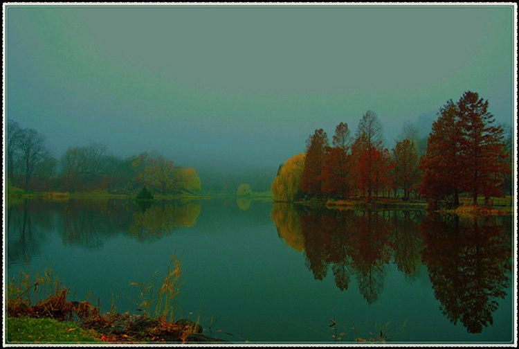 DSCN1441_.jpg