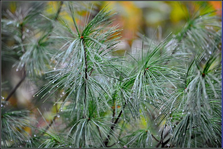 DSC_0703.jpg