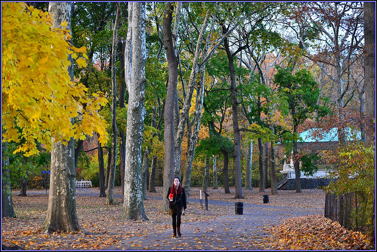 DSC_0547.jpg