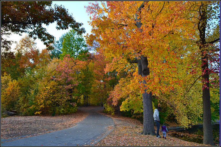 DSC_3249.jpg