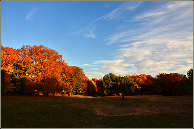 DSC_3266.jpg