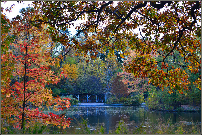 DSC_0535.jpg