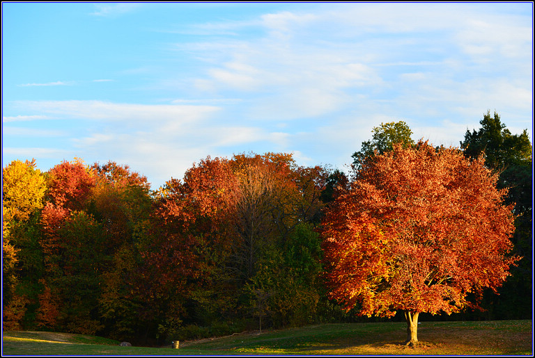 DSC_0565.jpg