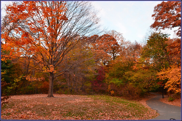 DSC_3305.jpg