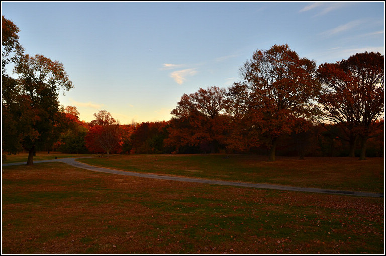 DSC_3274.jpg