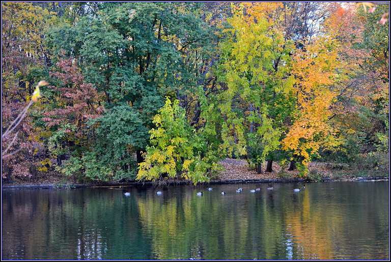 DSC_0525.jpg