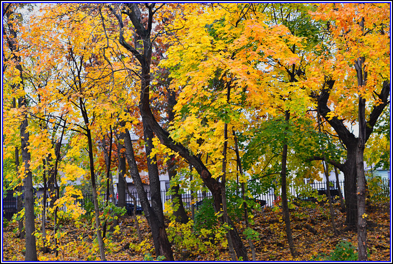 DSC_0709.jpg