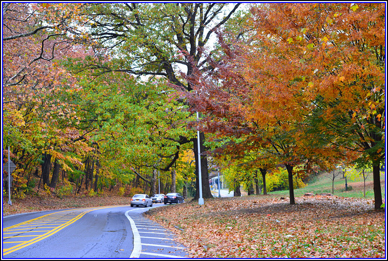 DSC_0711.jpg