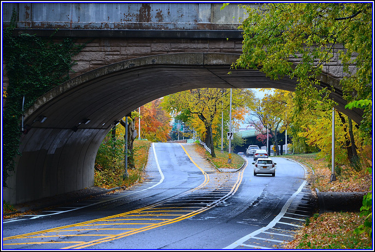 DSC_0753.jpg
