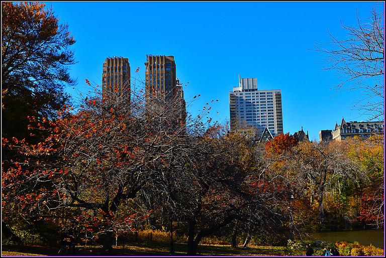 DSC_1080.jpg