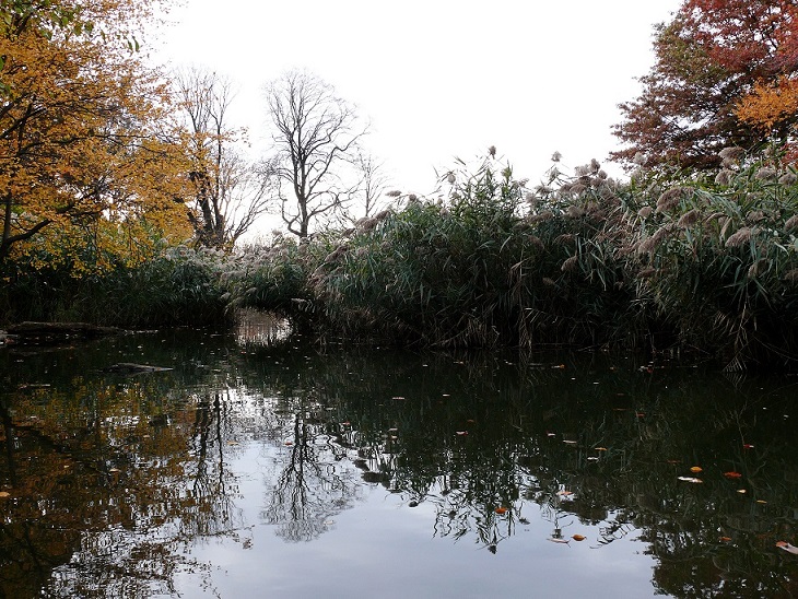 l1080512_conew2.jpg