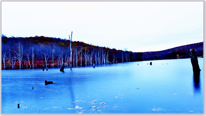 DSC_4794.jpg