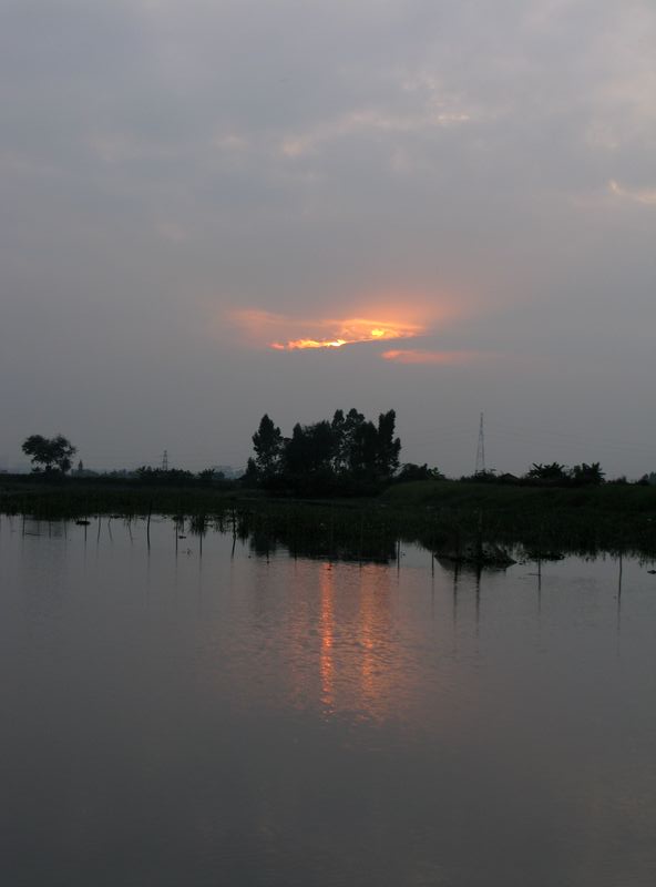 IMG_6668.jpg