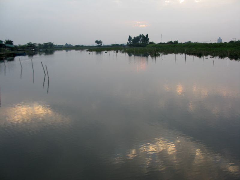 IMG_6662.jpg