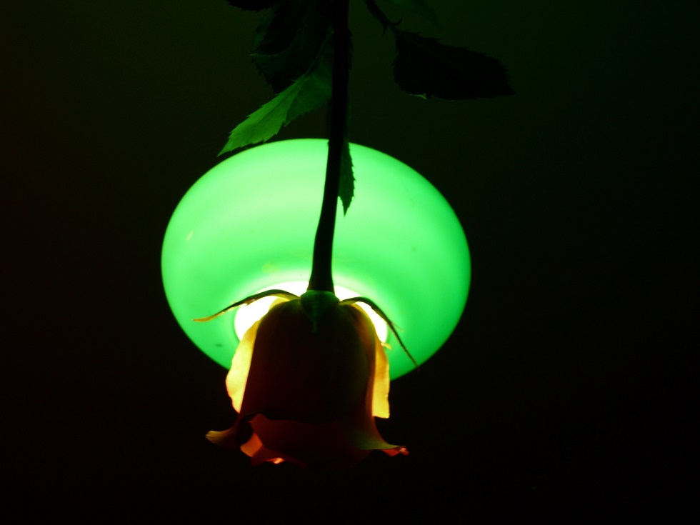 l1120646_conew1.jpg
