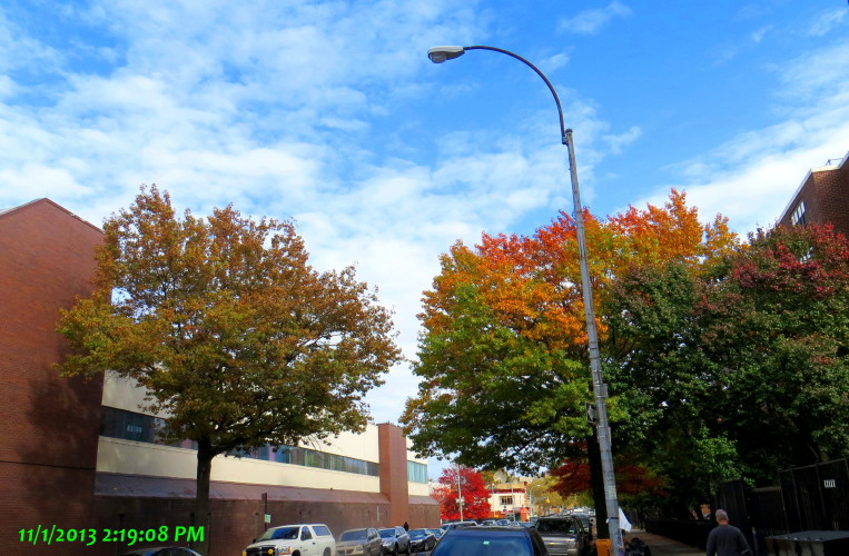 IMG_0001_5990.jpg