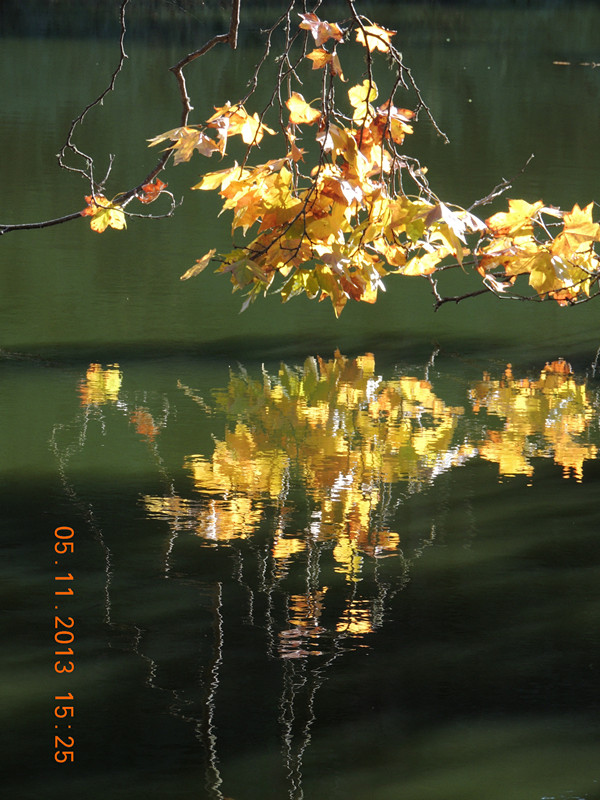 Golden gate park 662_.jpg