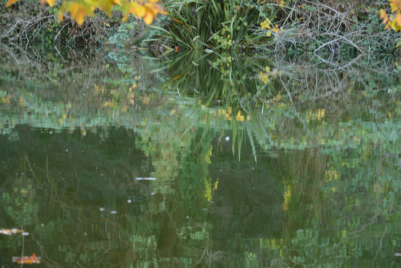 Golden gate park 847_.jpg