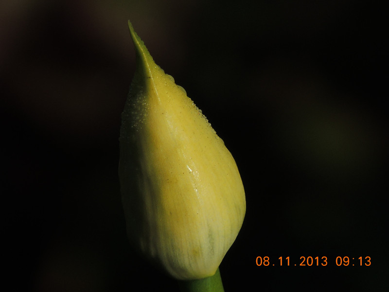184_35925_088573f84fe31df.jpg
