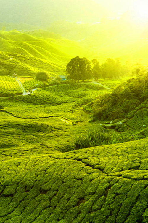 1a481cfc8224ebc25c021531c63dc589610x14989__.jpg