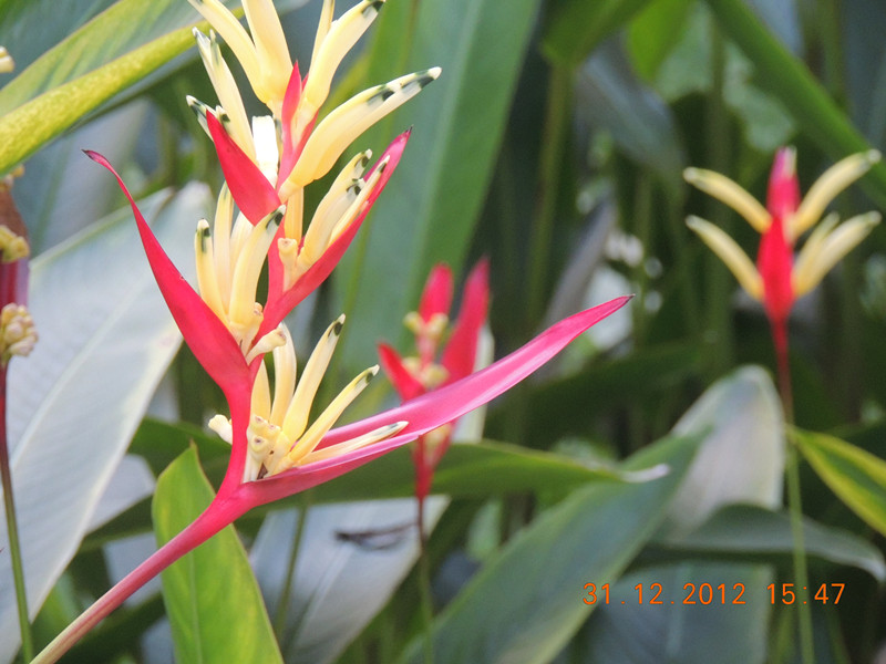 2013 vacation 357_.jpg