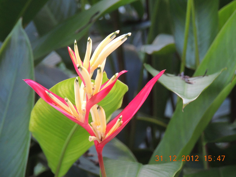 2013 vacation 359_.jpg