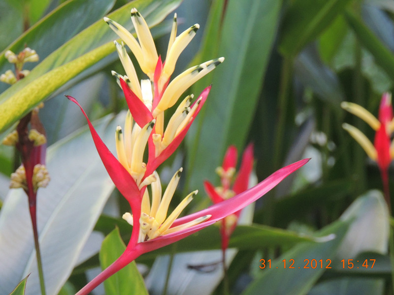 2013 vacation 358_.jpg