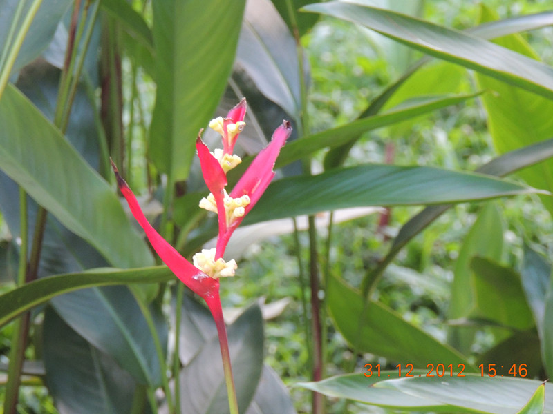 2013 vacation 355_.jpg