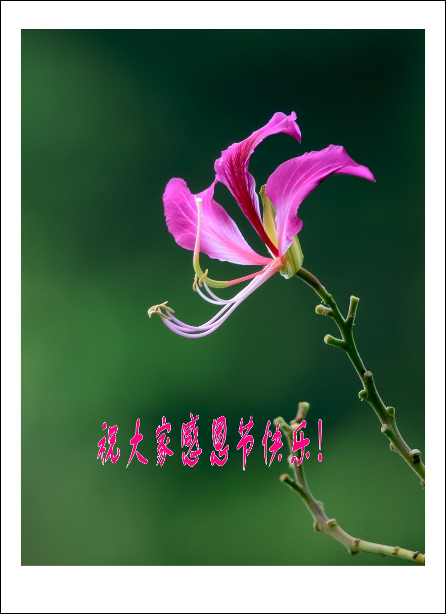 DSC_0728_conew2.jpg