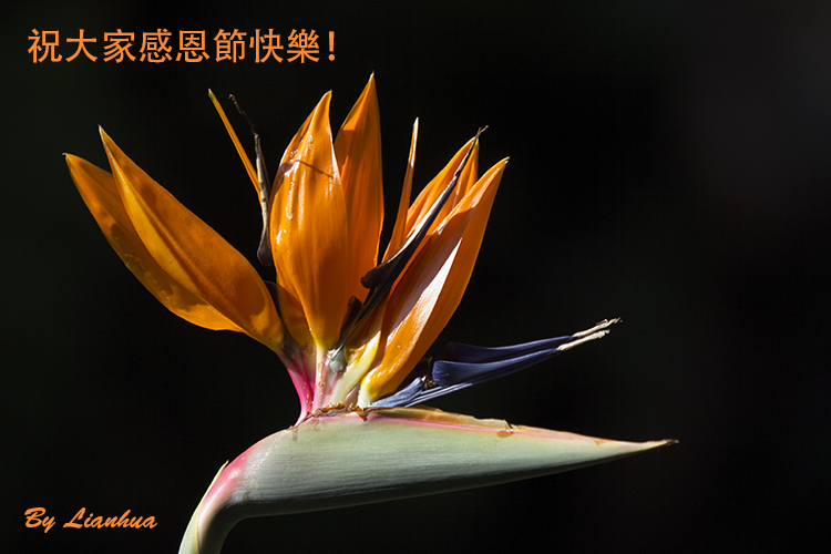 IMG_5834-2-3.jpg