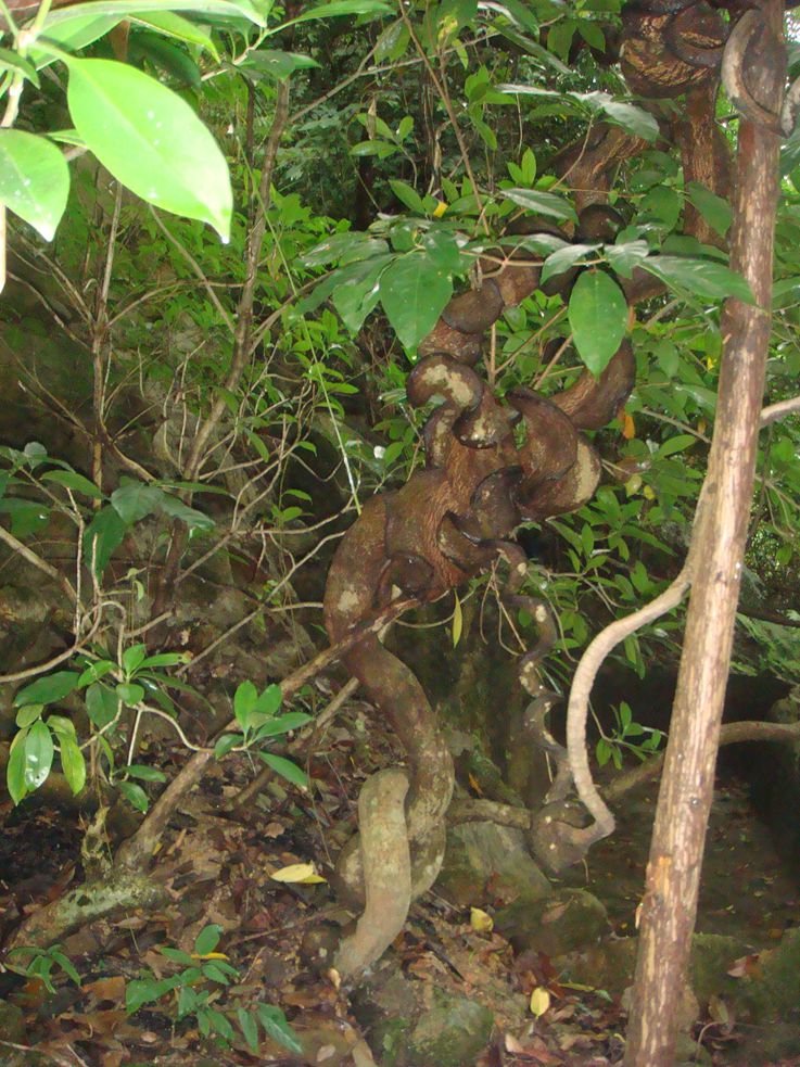 DSC07678_.jpg